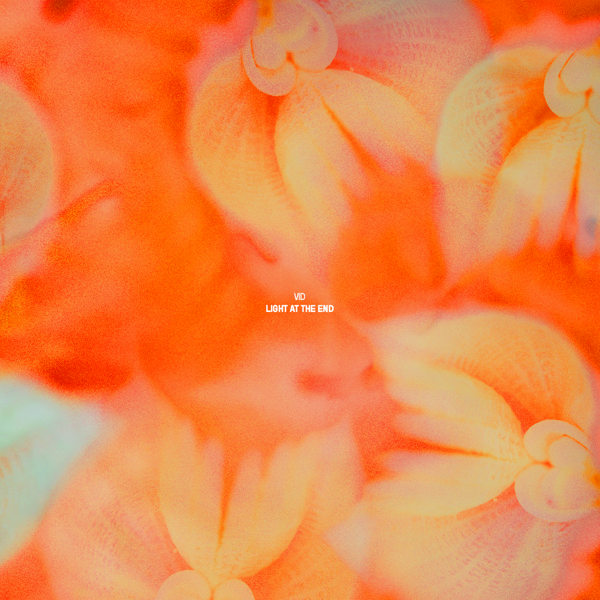 Release Radar: Vid - Light At The End [CADENZA149]
