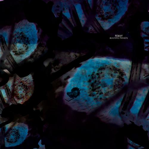 CADENZA76 / Reboot - Beautiful Parasite