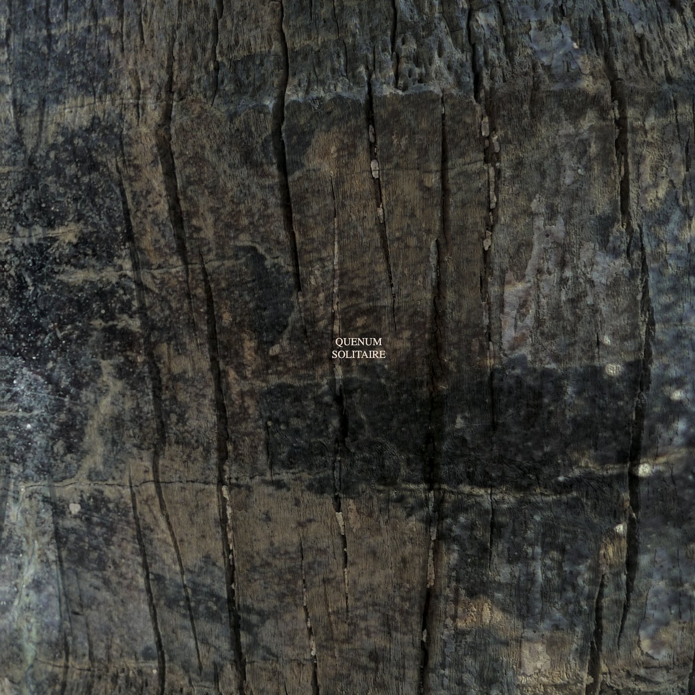 CADENZA110 / Quenum - Solitaire