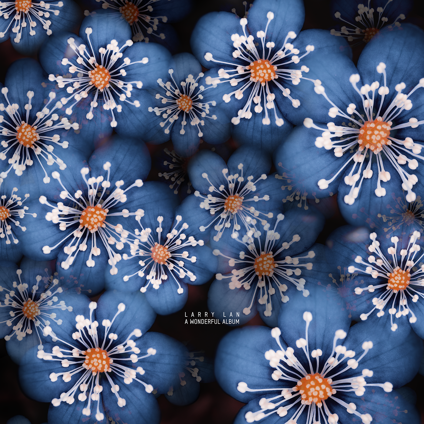 CADENZA133 / Larry Lan - A Wonderful Album