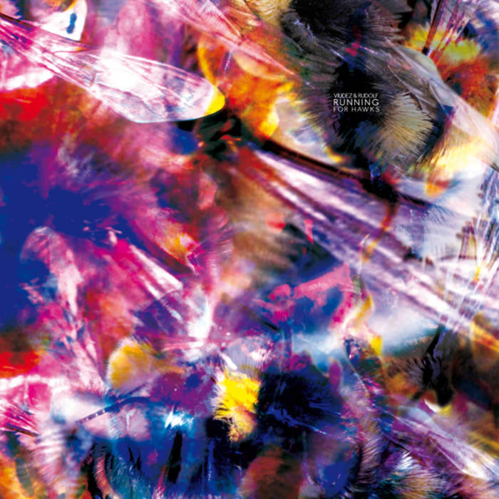 CADENZA71 / Rudolf, Viudez - Running For Hawks