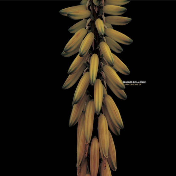 CADENZA87 / Eduardo De la Calle - Precursors EP