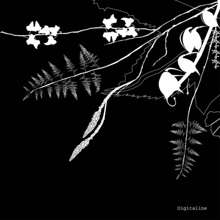 CADENZA07 / Digitaline - Rubicube
