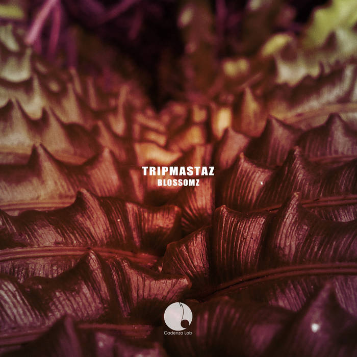 Tripmastaz - Blossomz