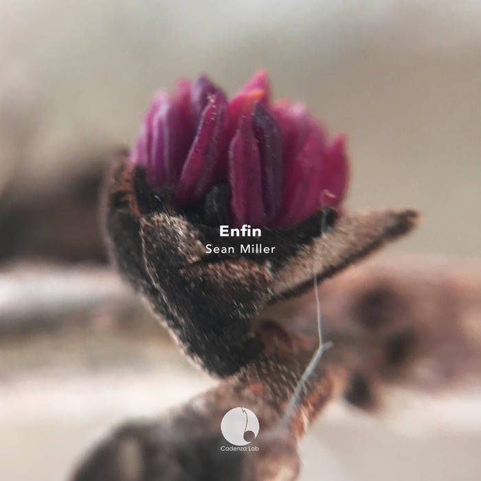 Sean Miller - Enfin